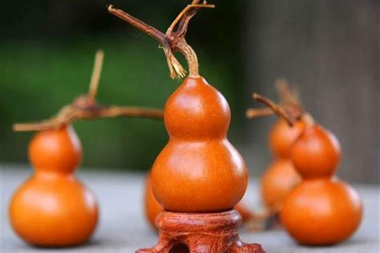 葫芦膨大期需要什么肥料