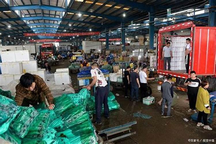 如何改善土壤肥力环境