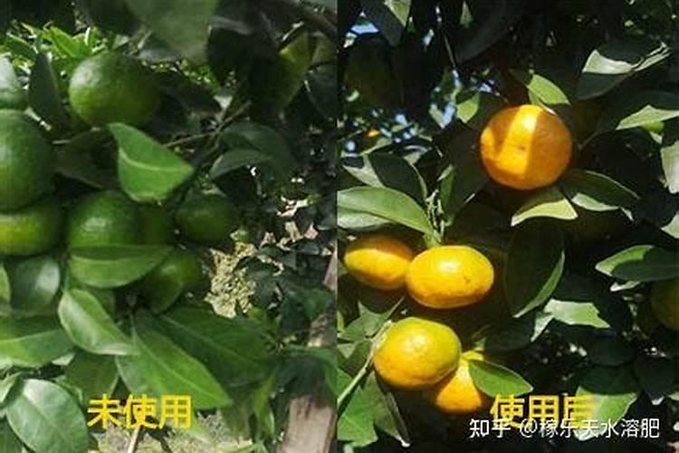 新疆最大的硫酸钾生产基地在哪里呀