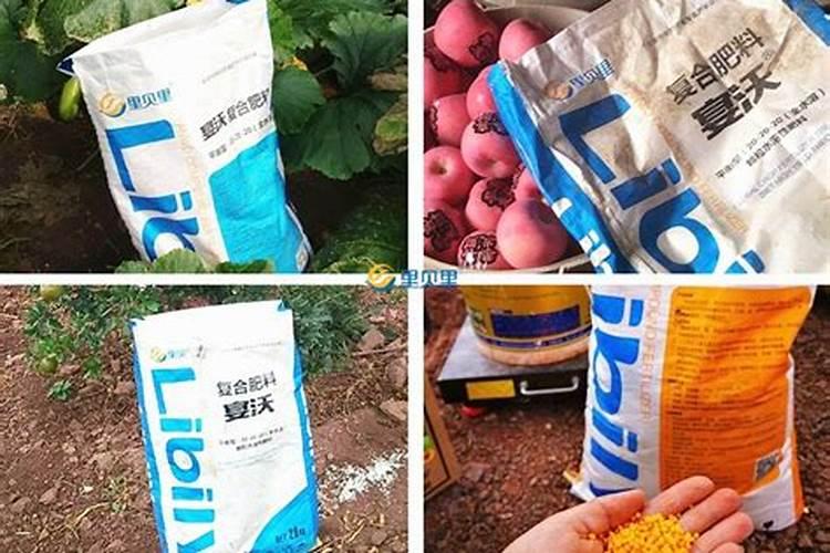 茉莉花施什么肥最好 适合用什么肥料