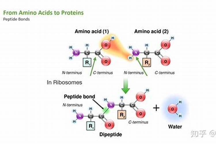 天然氮肥有哪些
