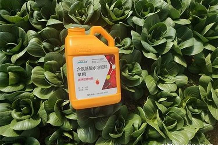 磷肥的作用是什么 磷肥有哪些