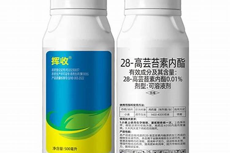 芸乐收多少钱一箱？