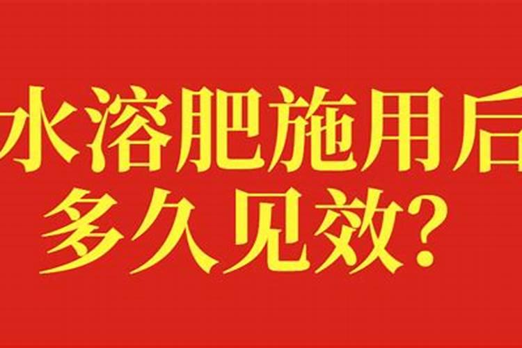 黄豆开花打了精禾草克有药害吗？