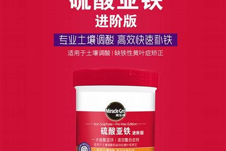 嘉施利(新疆)水溶肥有限公司怎么样