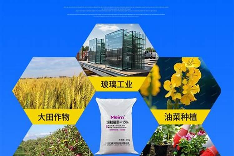 油菜施用硼肥的方法有哪些