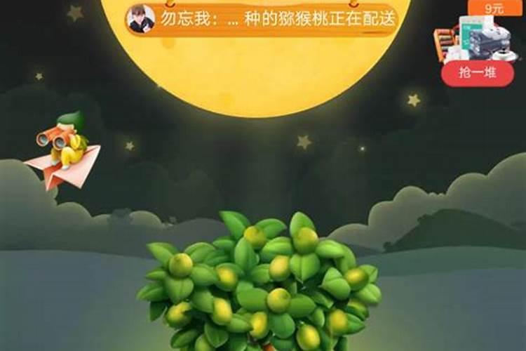 生姜苗后期每苗可以施2公斤硼肥吗