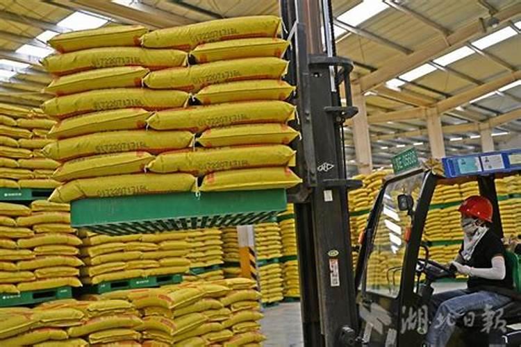 艾草的养殖方法和注意事项