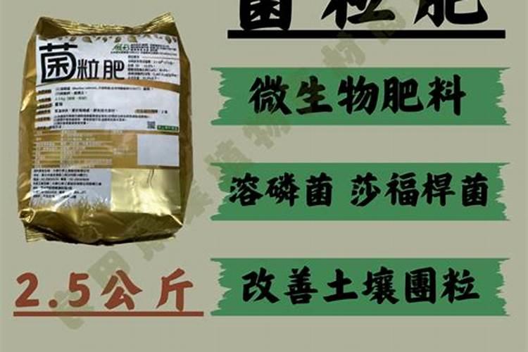 花椒籽播种前怎样快速脱油