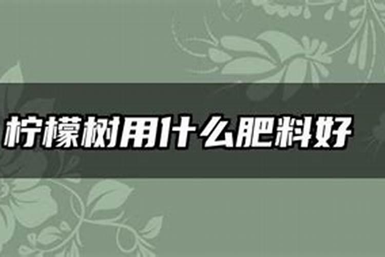 柠檬高1米需要多深的盆？