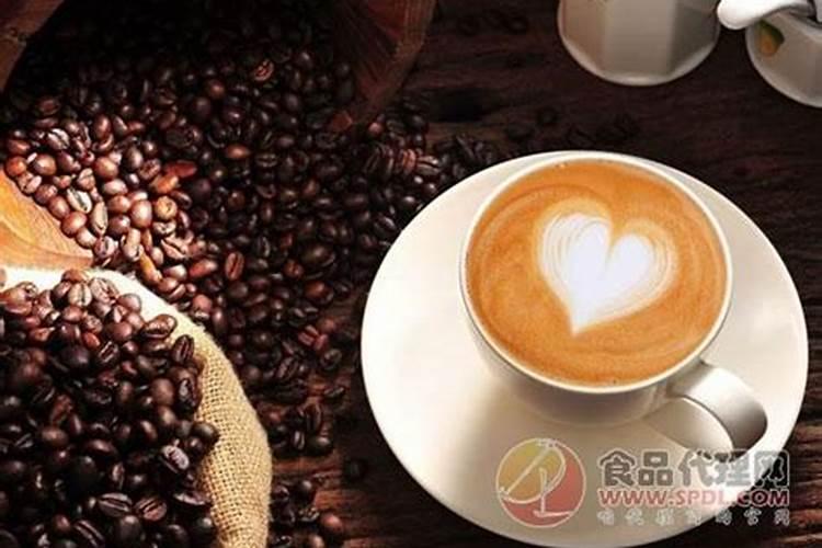 芙蓉花什么时候开花