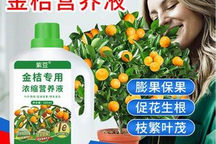 如何辨别鱼胶原蛋白粉