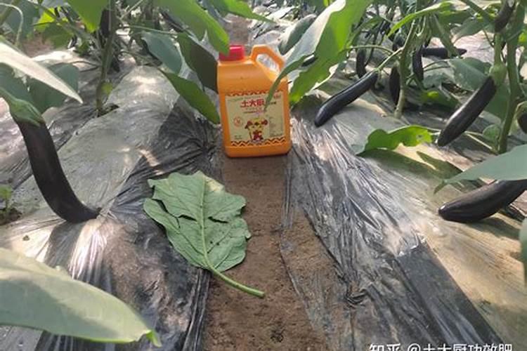 水溶肥生产原料有哪些