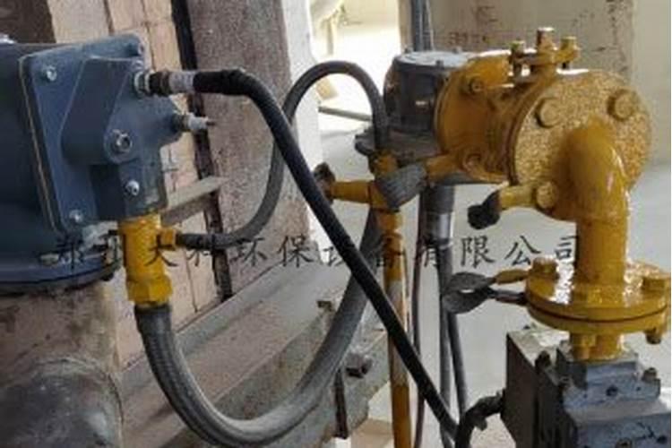 适合甘肃省的植物