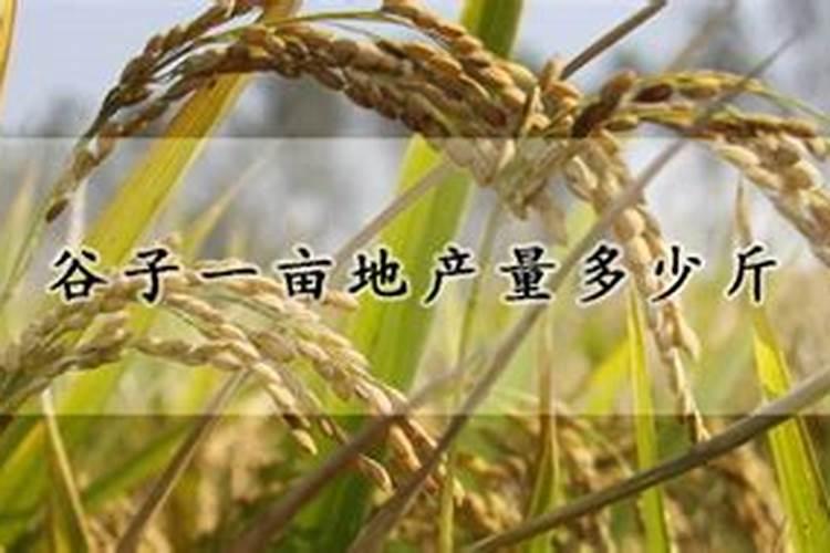 每亩谷子需要多少氮肥磷肥钾肥