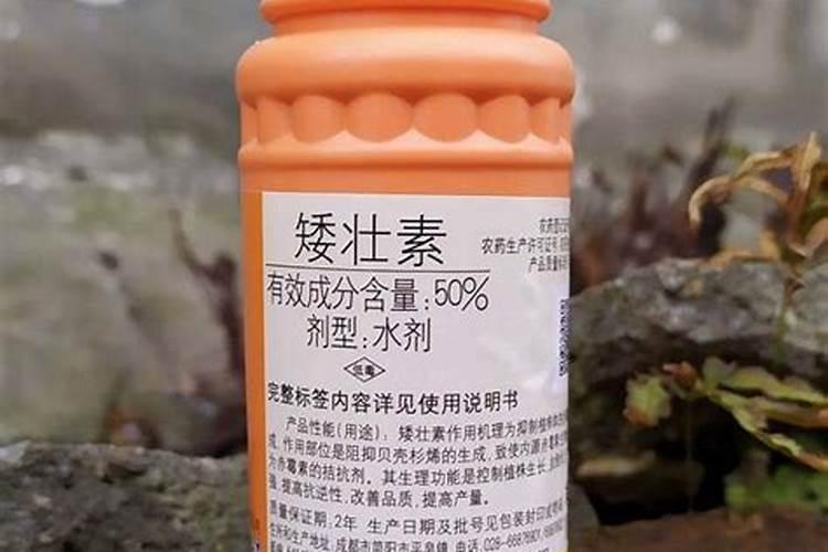 在果树上如何施用钙肥