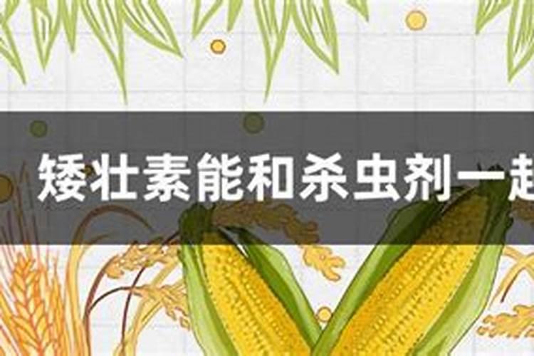 在花生开花下针期,控旺剂和叶面肥能混合喷施吗？