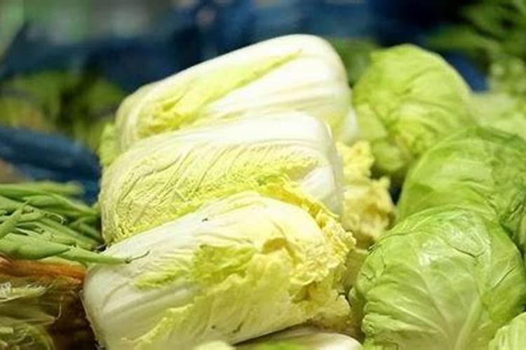 天堂鸟施肥需施什么肥料