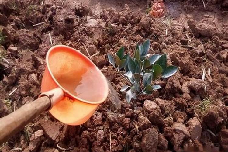 硫酸镁钾的用途？