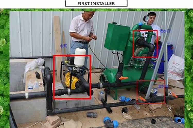 长寿花出花苞后怎样浇水花卉百科