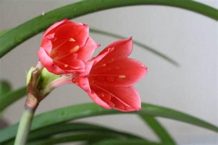 化肥真假标识怎么辨别