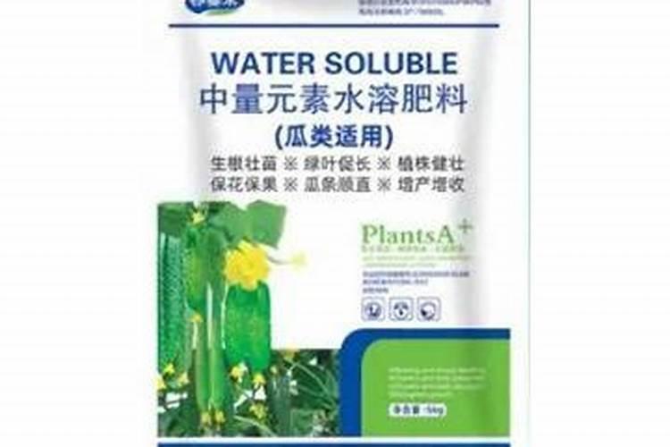 刚栽的长寿花可以浇水吗？