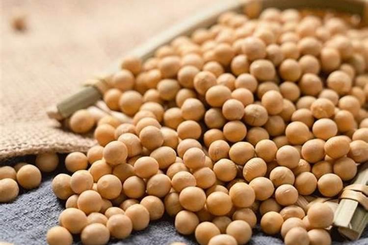 小麦春季怎么追肥