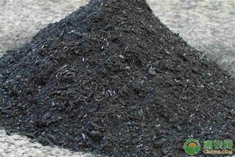 草木灰怎么养花