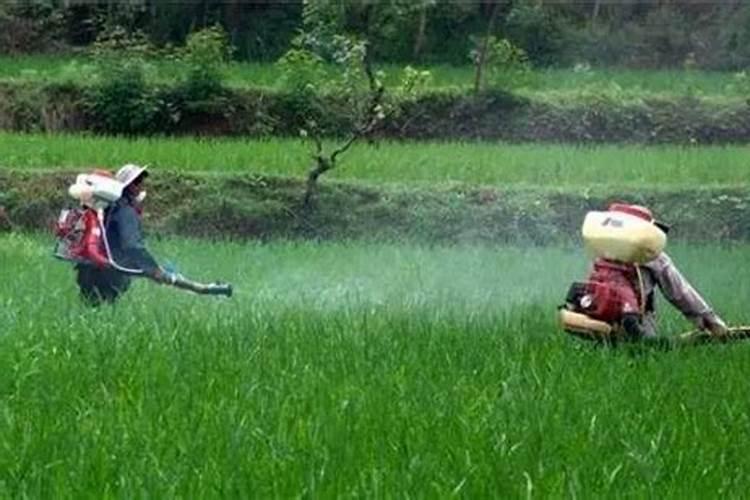 内蒙古朵日纳硒科生物技术有限公司怎么样？