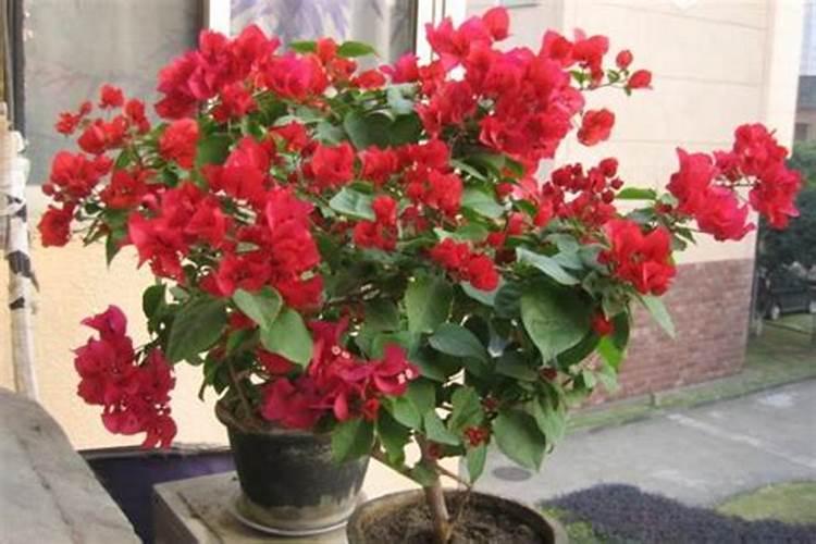 内蒙古汉邦硒牧食品科技有限公司怎么样？