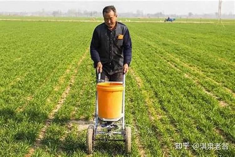 什么是无机肥(化学肥料)？它与有机肥相比有什么优缺点？