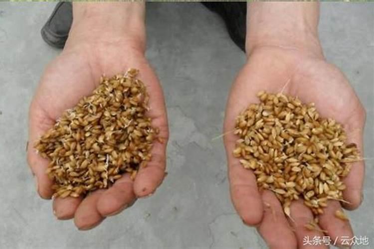 婴幼儿营养品排名 哪个牌子好