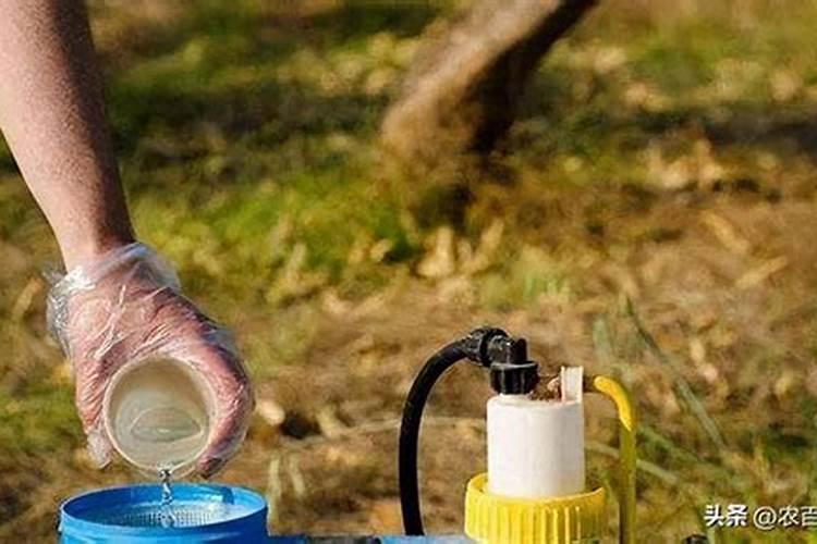 恶霉灵是喷雾还是浇灌好