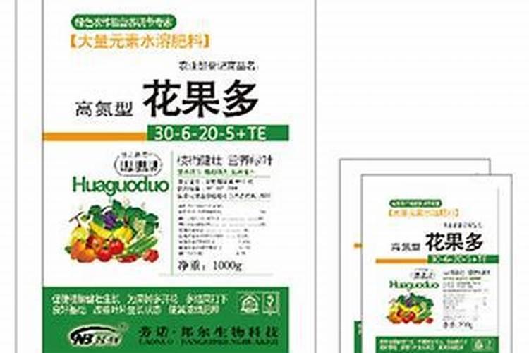 丑橘的种植方法及注意事项