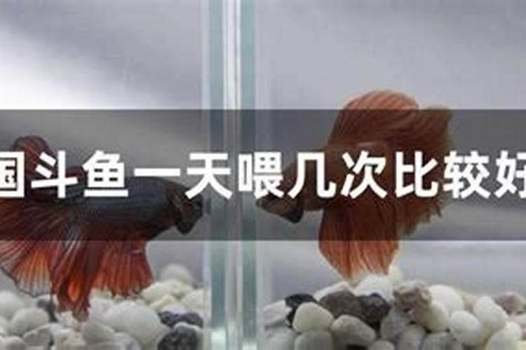 吉百利业务范围