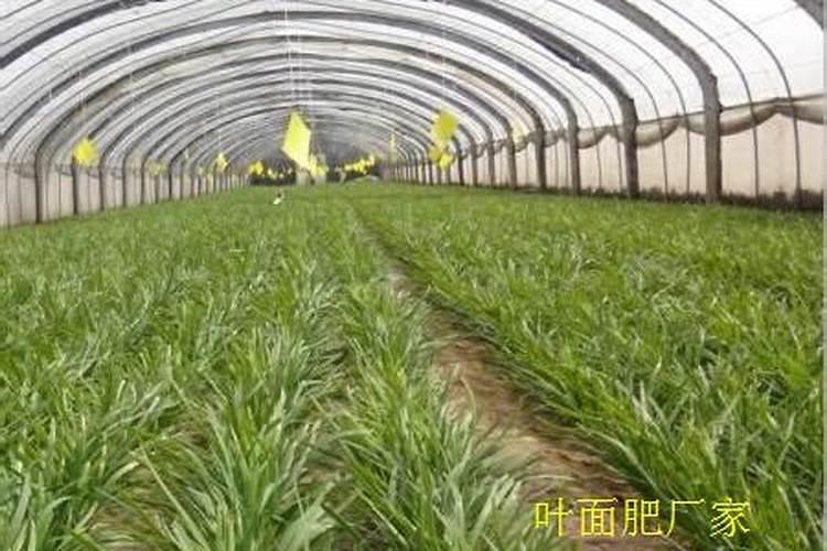 硼矿我国硼矿资源概况