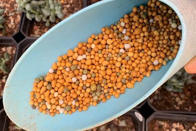 生土地施什么肥最好