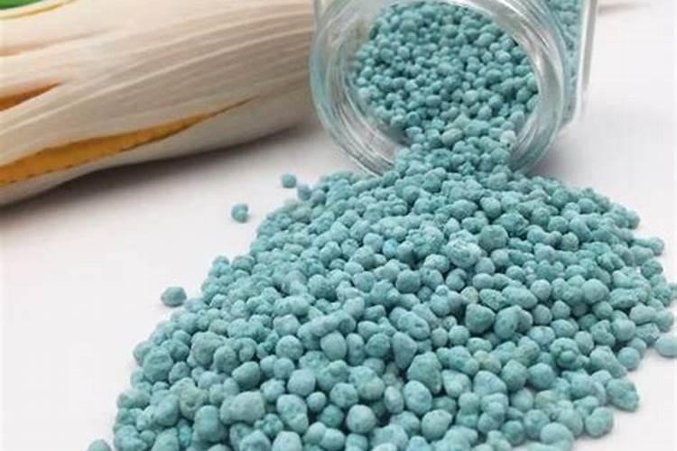 植物什么时候施用磷肥