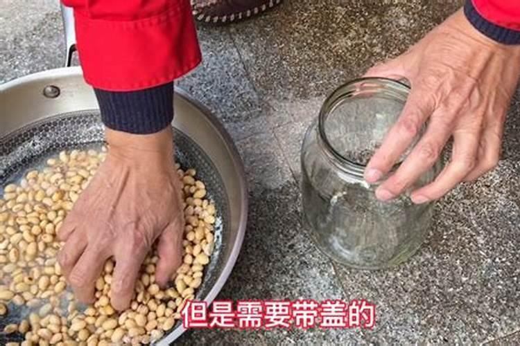 种黄豆几天浇一次水 种黄豆的养护要求