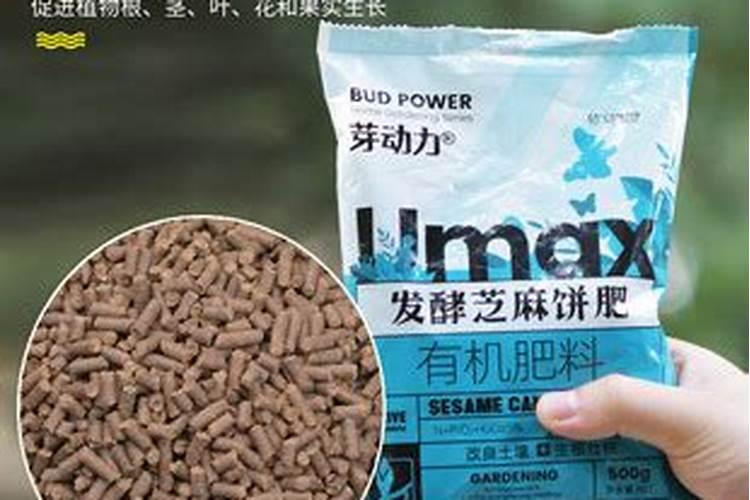 早酥梨没有授粉树能接果吗？