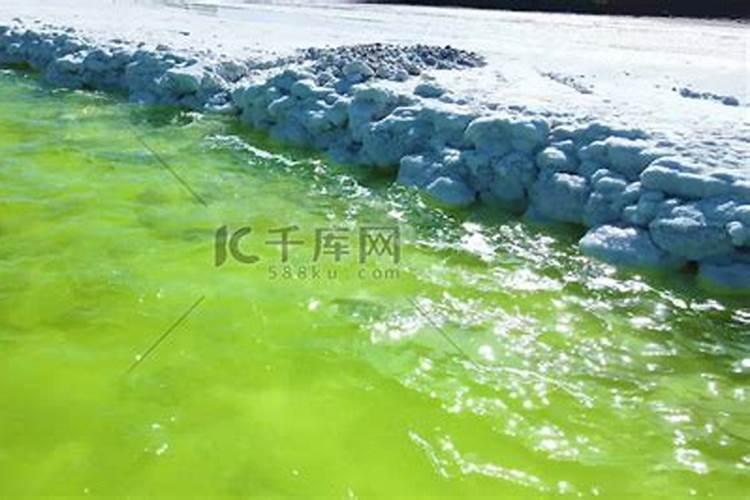 中国十大腐植酸品牌