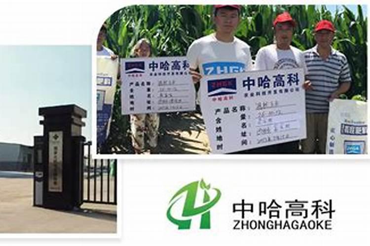 哈尔滨肥黄金生物工程有限公司怎么样？