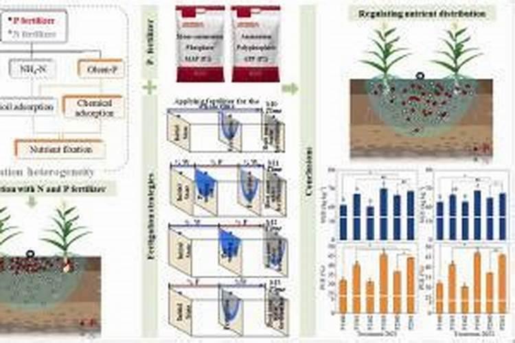 磷肥的施用方法及注意事项