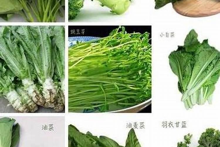 叶面肥有什么功效？喷洒时有什么注意事项？