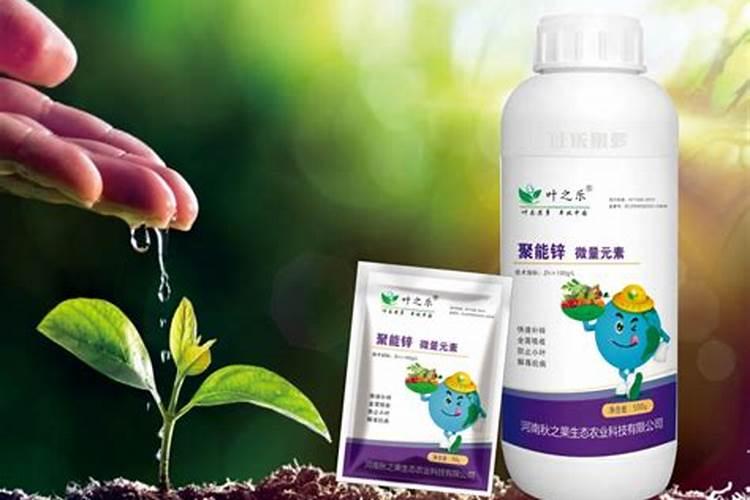 种植蘑菇用什么肥料