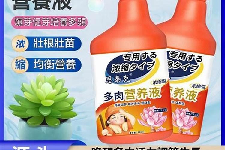 多肉子宝怎么爆盆