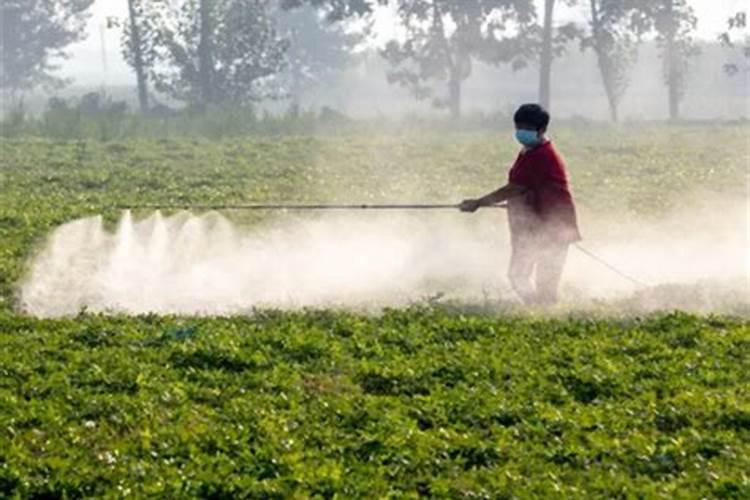 硼肥对人体有毒吗 用多了有什么坏处