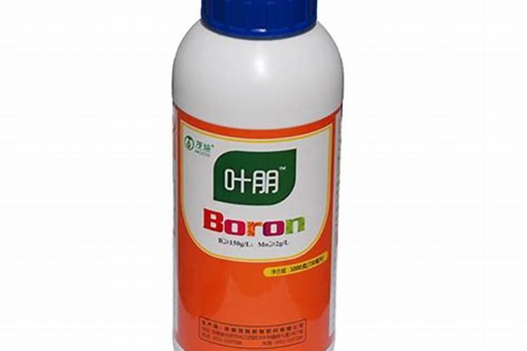 萝卜苗可以移栽种植吗,萝卜苗该怎么移植菜最好呢