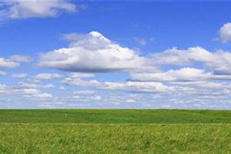 水溶肥加水溶化后能放多久