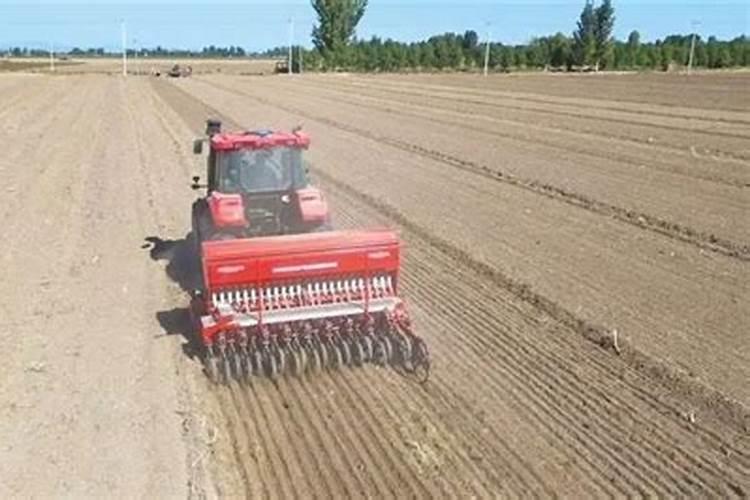 在2007年的大牛市中,曾经涨到300元的各股有哪些？